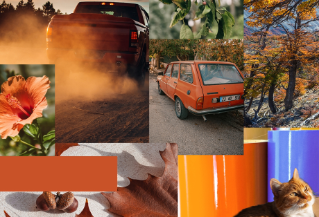 Vinyl Color Matching Services | Avery Dennison | Graphics