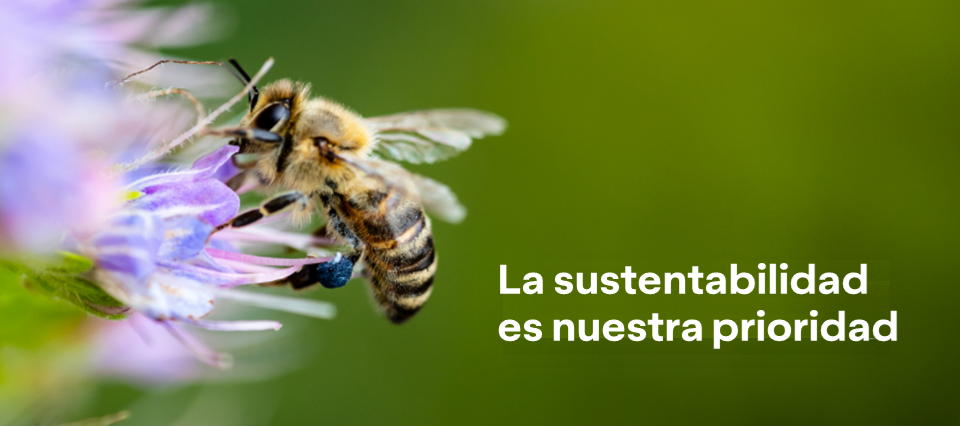 sustainability-avery-dennison